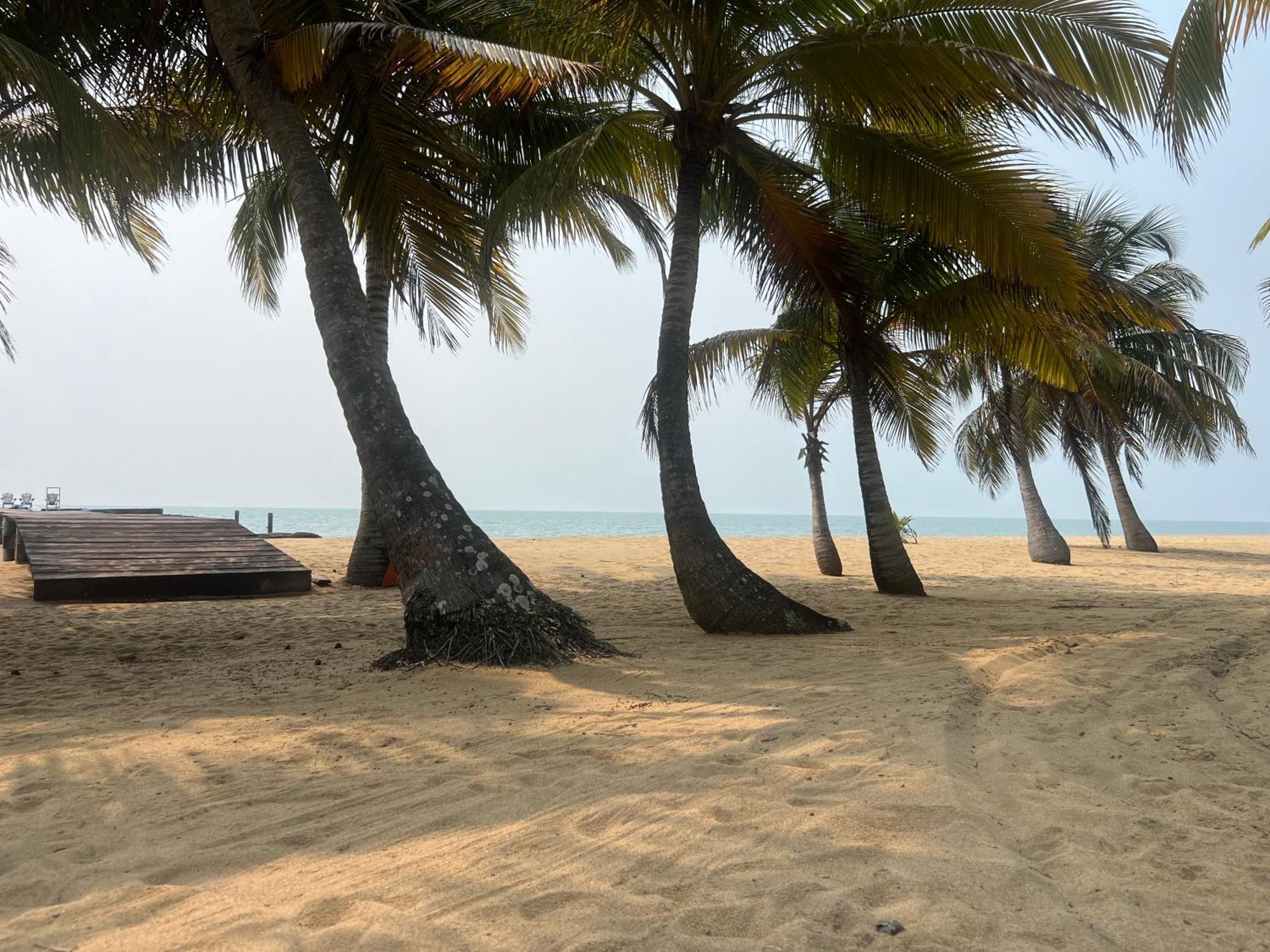 Sabal Beach Пунта-Горда Екстер'єр фото
