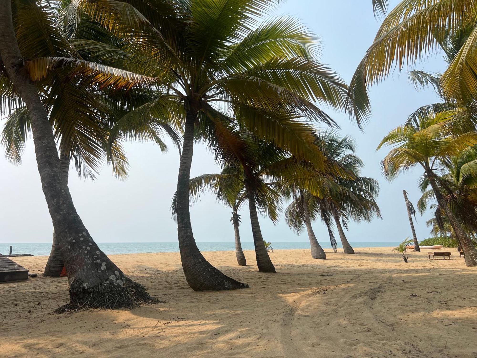 Sabal Beach Пунта-Горда Екстер'єр фото