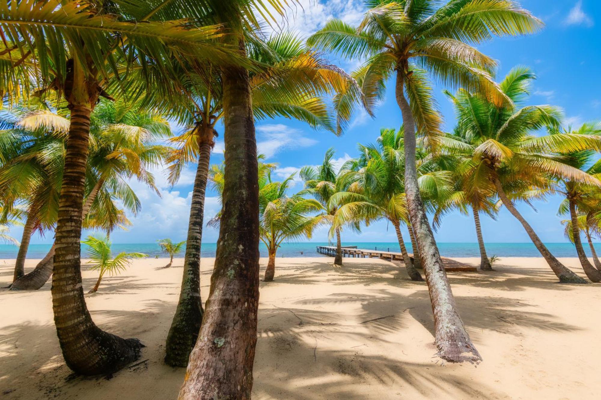 Sabal Beach Пунта-Горда Екстер'єр фото